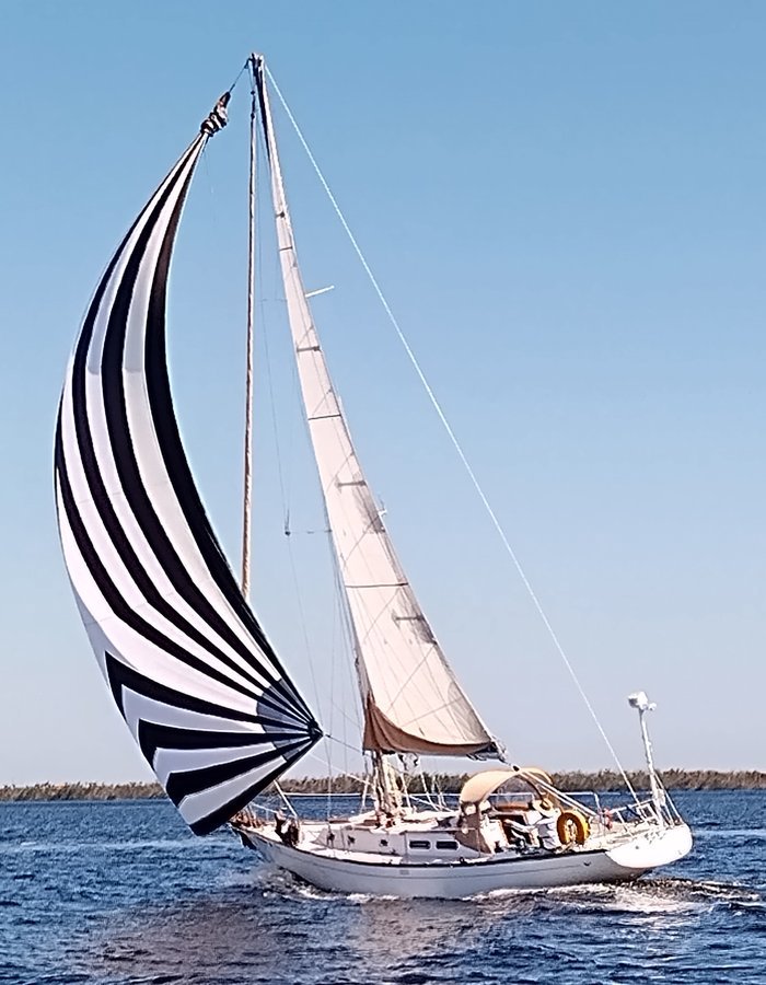 Custom asymmetrical spinnaker by Gleason Sailmakers – bold black and white vertical stripe design fully deployed on a cruising sailboat, sailing downwind in flat water